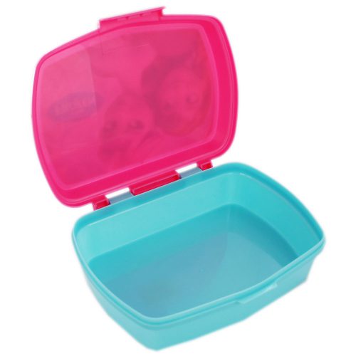 Frozen Lunchbox / Broodtrommel - Anna en Elsa bij debadeend.nl