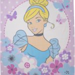 Princess Dreams Fleecedeken - Assepoester - 120x150cm bij debadeend.nl
