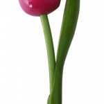 Houten Tulp op Voet - 19 cm - Roze bij debadeend.nl