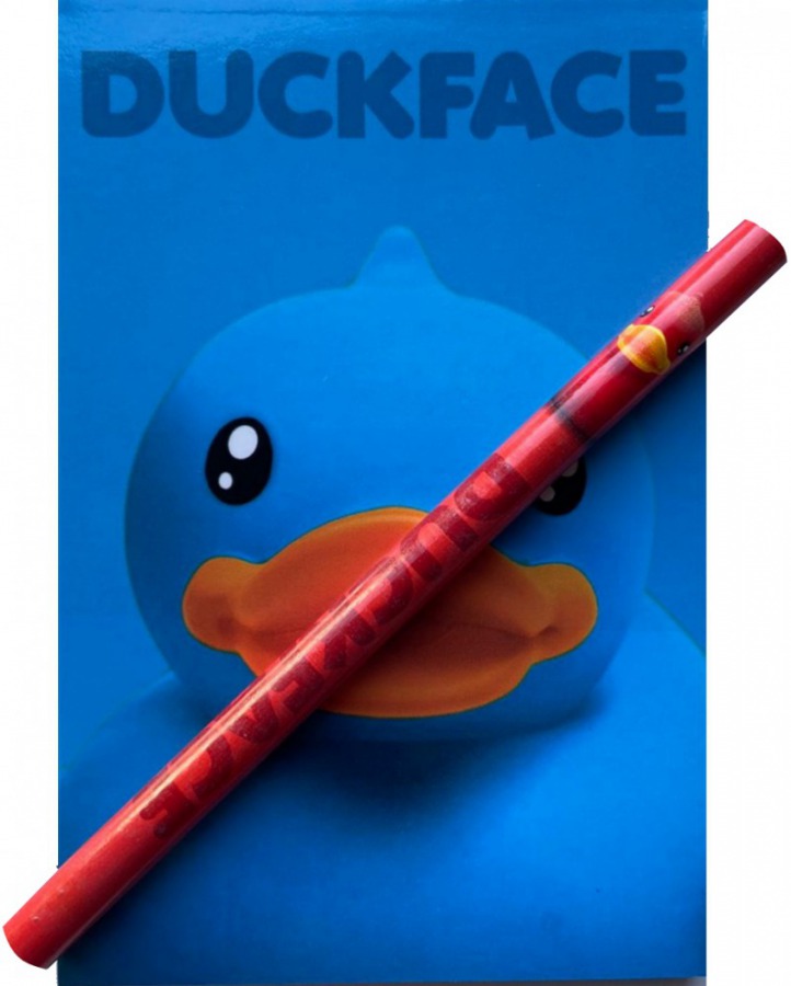 Duckface Notitieboekje - Blauw bij debadeend.nl