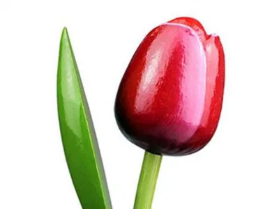 Houten Tulp - 20 cm - Rood bij debadeend.nl
