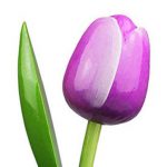 Houten Tulp - 20 cm - Lila bij debadeend.nl