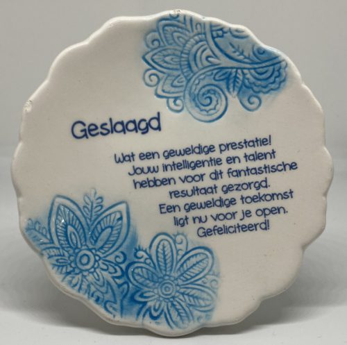 Tegelmagneet met leuke spreuk - Geslaagd - Blauw bij debadeend.nl