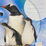 Schoolschrift Pinguin - Geruit (0.5 cm) - 16 pagina's bij debadeend.nl