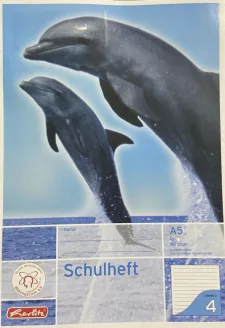 Schoolschrift Dolfijnen - Gelinieerd (1 cm) - 16 pagina's bij debadeend.nl