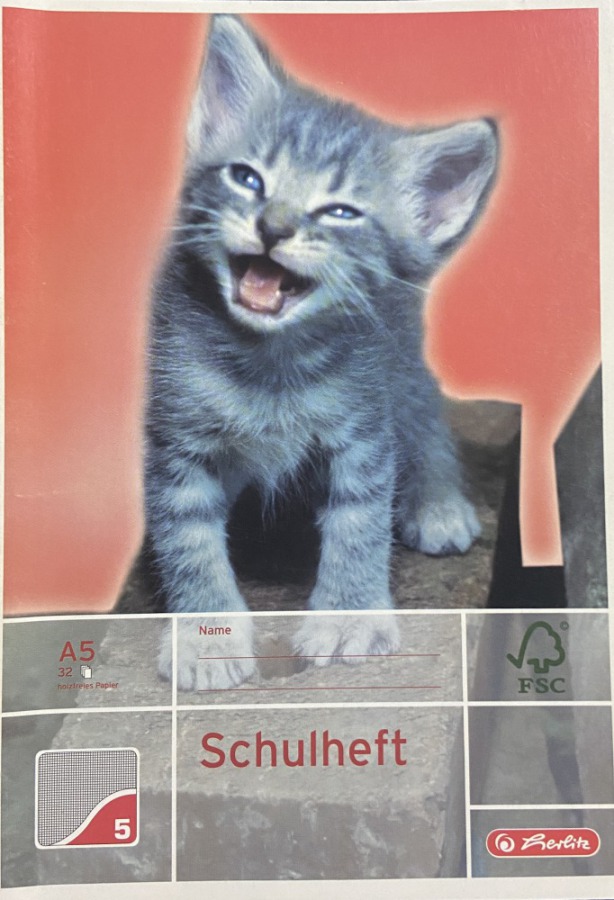 Schoolschrift Kitten - Geruit (0.5 cm) - 16 pagina's bij debadeend.nl