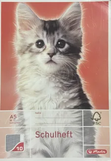 Schoolschrift Kitten - Geruit (1 cm) - 16 pagina's bij debadeend.nl