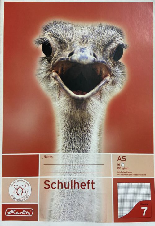 Schoolschrift Struisvogel - Geruit (0.7 cm) - 16 pagina's bij debadeend.nl