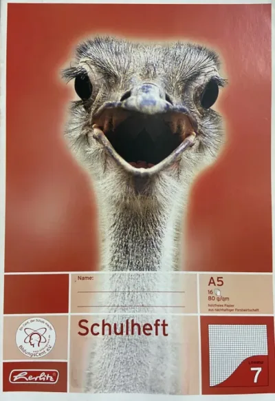 Schoolschrift Struisvogel - Geruit (0.7 cm) - 16 pagina's