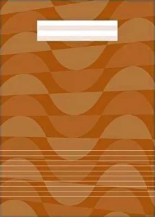 A4 Schrift Oranje - Gelinieerd (0.8 cm) - 80 pagina's bij debadeend.nl