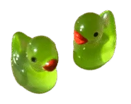 Micro Fluorescerende Eend - Glow in the dark - Groen
