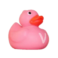 Alfabet Badeendje - Letter V - Roze